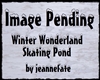 Wonderland Skating Pond