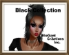 Blk Hair Collection IV