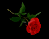 Sticker Red Rose