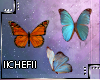 -Butterflies-