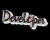 developer