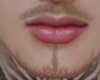 Dcria Beard Blonde Mh