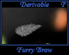 Furry Brow Derivable F