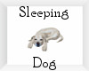 Glitzen Sleeping Dog