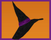 Witch's Hat, Purple
