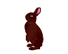 chocolate easter bunny