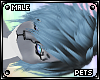[Pets] Bini | hair v3