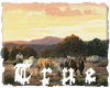 {TRUE} Country Sunset