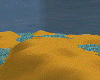 Sandy dune scape