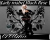 Black Rose  Lady Mabel