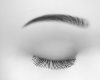 Arch Eyebrow