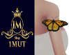 im arm butterfly