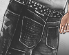 painter shorts
