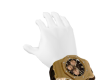 AP Watch M-R