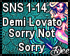 D.Lovato:Sorry Not Sorry