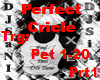 Pet a Perfect circle #1
