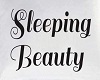 Sleeping Beauty Pillow