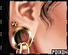 ** Plugs + Hoops Gold
