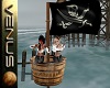 ~V~Pirate Party Lookout