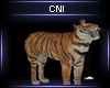 Tiger Animated Pet