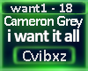 Cameron Grey - want it