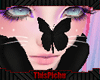 Tp Black Butterfly