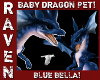 BABY BLUE BELLA DRAGON!