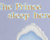 JZ Prince Sleep Here