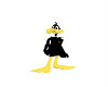 (SS)Duck Avatar Yellow