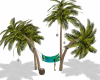 Lifes a BEACH hammock