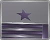 Star Model Purple