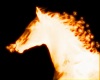 Flaming Horse WH