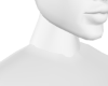 neck + scaler