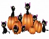 Pumpkins & Kittens