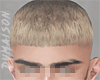 Aleksei Hair