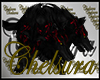 Cerberus