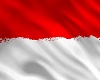 flag indonesia