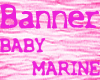 Request  Party  Banner  