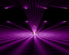 Light In Dark- Purple