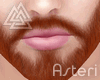 ◮ Beard+Brows Asteri