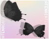 ❄ Black Flying Buttfly