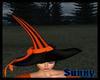 *SW* Witches Hat
