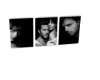 50 Nuances De Grey â«