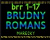 BRUDNY ROMANS