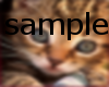(007) cute cat stamp