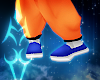 ☾ Goku Shoes (F)