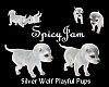 Playful Silver Wolf Pups