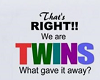 Twin banner