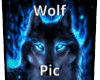 Wolf Picture