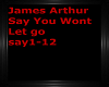 james arthur wont let go